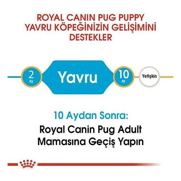 Royal Canin Pug Junior Yavru Köpek Maması