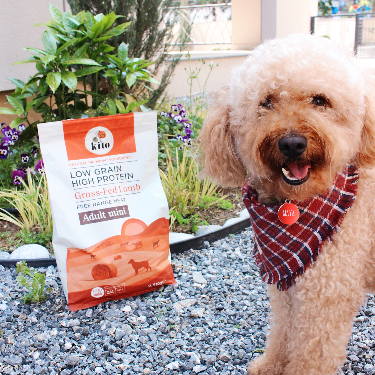 Yetişkin Mini Irk Köpek Maması