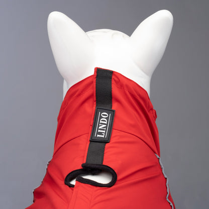 Lindo Dogs Quattro Nova Köpek Yağmurluğu