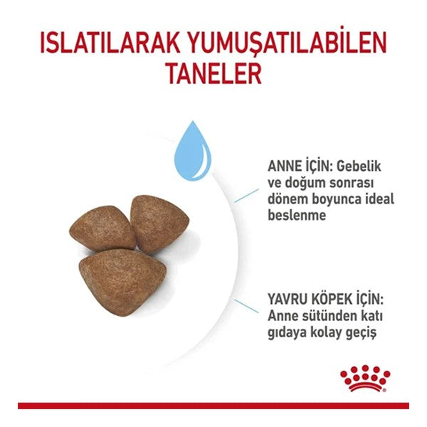 Royal Canin Mini Starter Anne ve Yavru Köpek Maması