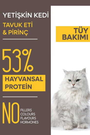 Animal World Tavuklu ve Pirinçli Tüy Yumağı Önleyici Yetişkin Kedi Maması