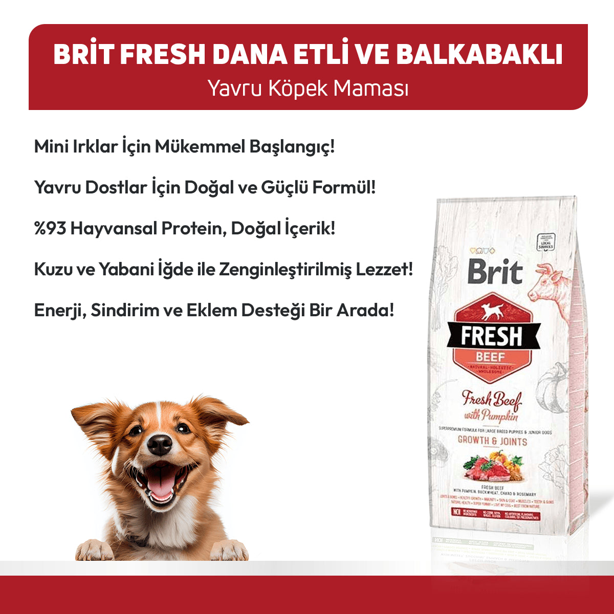 Brit Fresh Sığır Etli ve Balkabaklı Yavru Köpek Maması