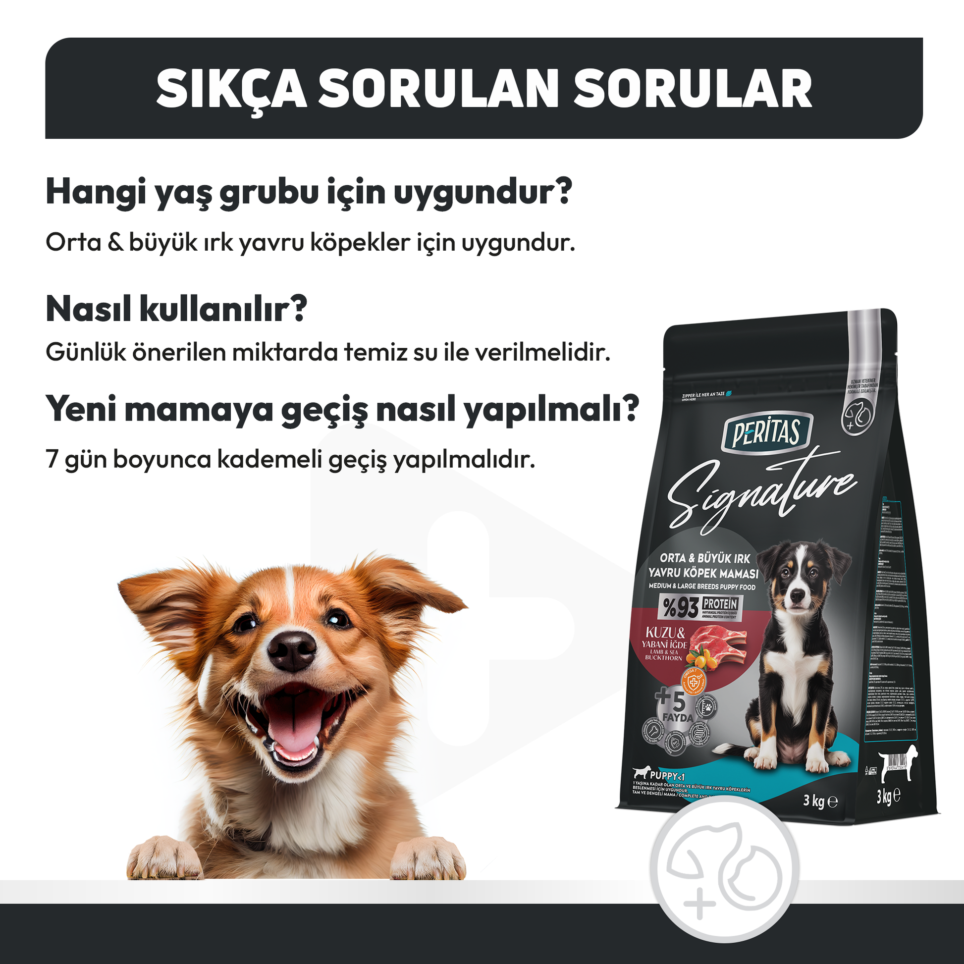 Signature Kuzulu Orta ve Büyük Irk Yavru Köpek Maması