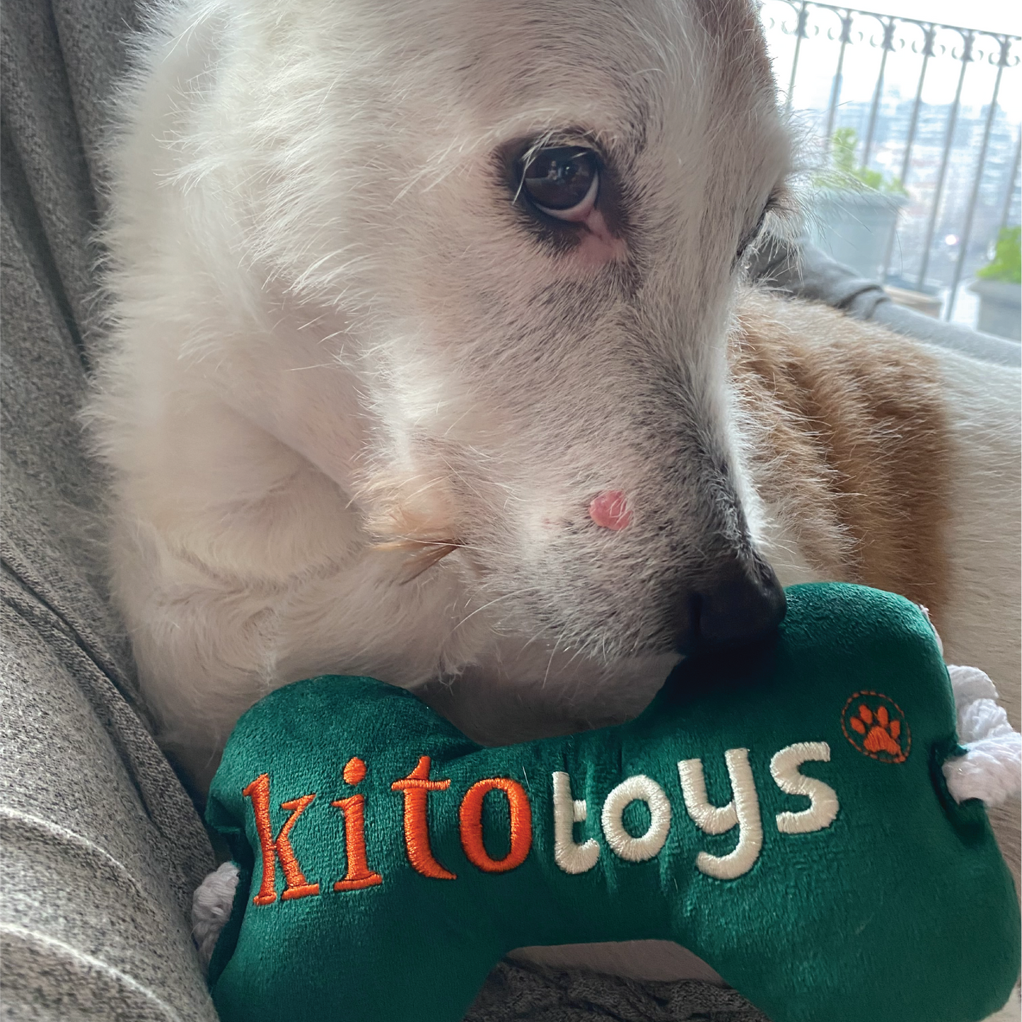 Kemik Peluş Köpek Oyuncağı