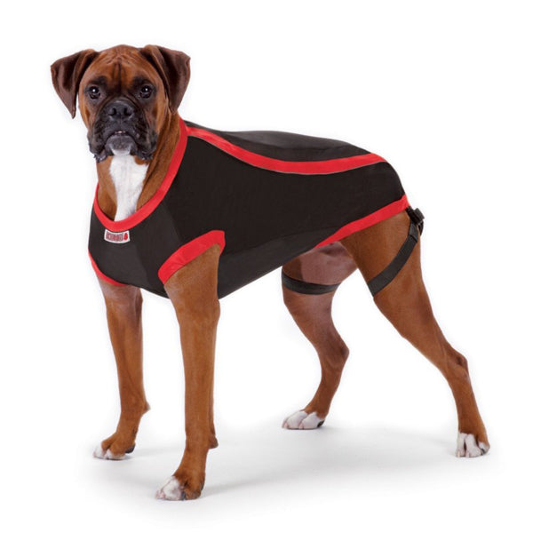 Kong Anksiyete Kaygı Giderici Köpek Elbisesi