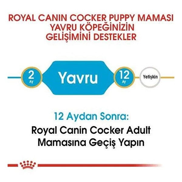 Royal Canin Cocker Junior Yavru Köpek Maması