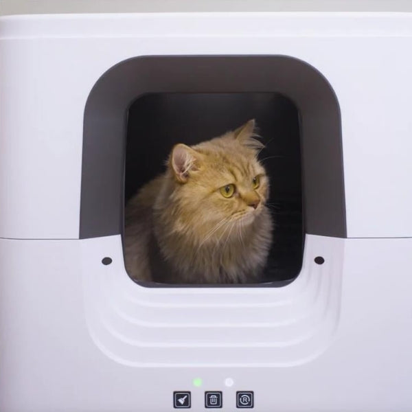 Aclium Otomatik Kedi Tuvaleti