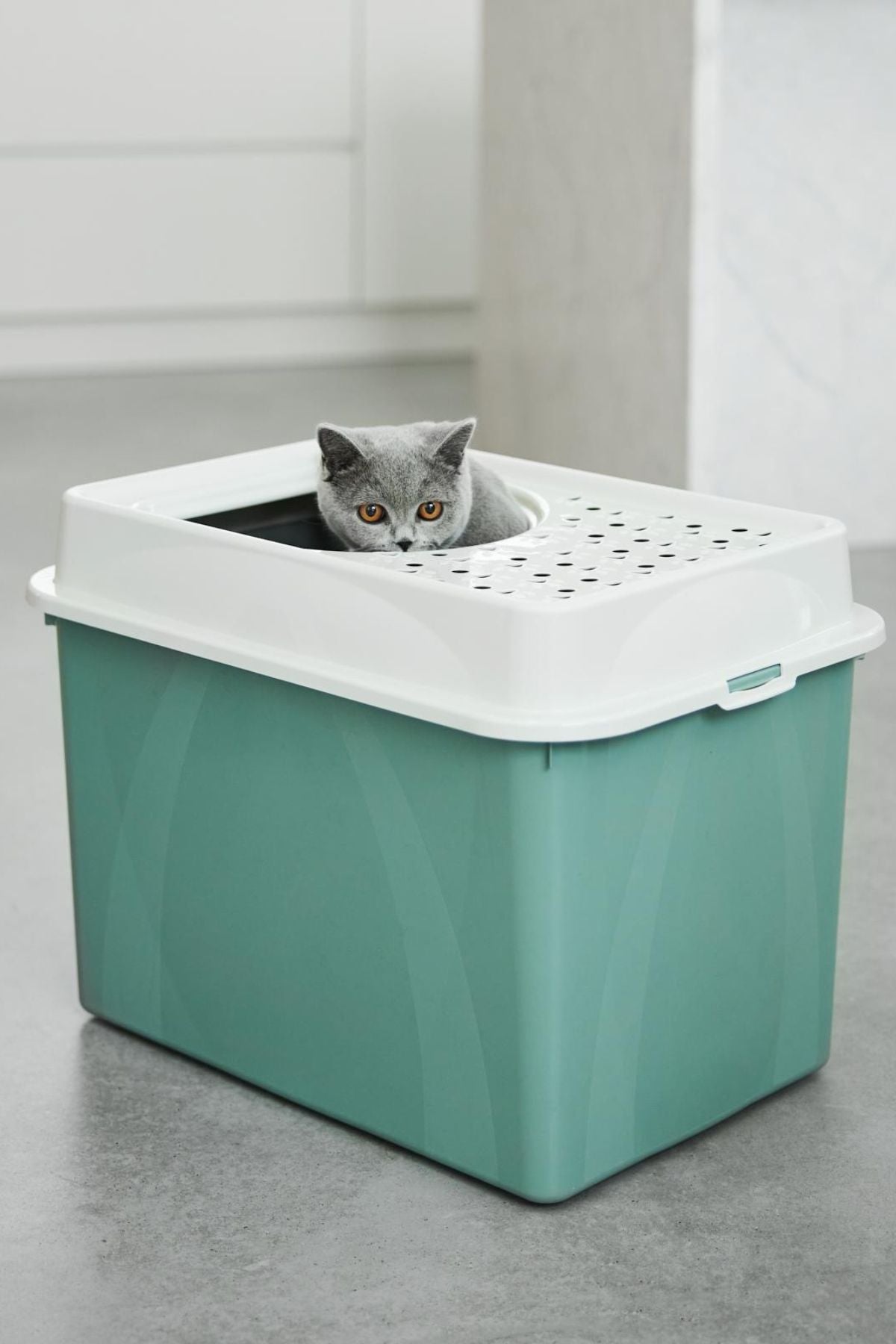 Eco Berty Üstten Girişli Kedi Tuvaleti - Çevre Dostu ve Kolay Temizlenebilir Yeşil  | SRC: Barcode: 7610859232762