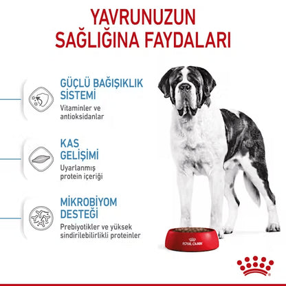 Royal Canin Giant Junior Dev Irk Yavru Köpek Maması