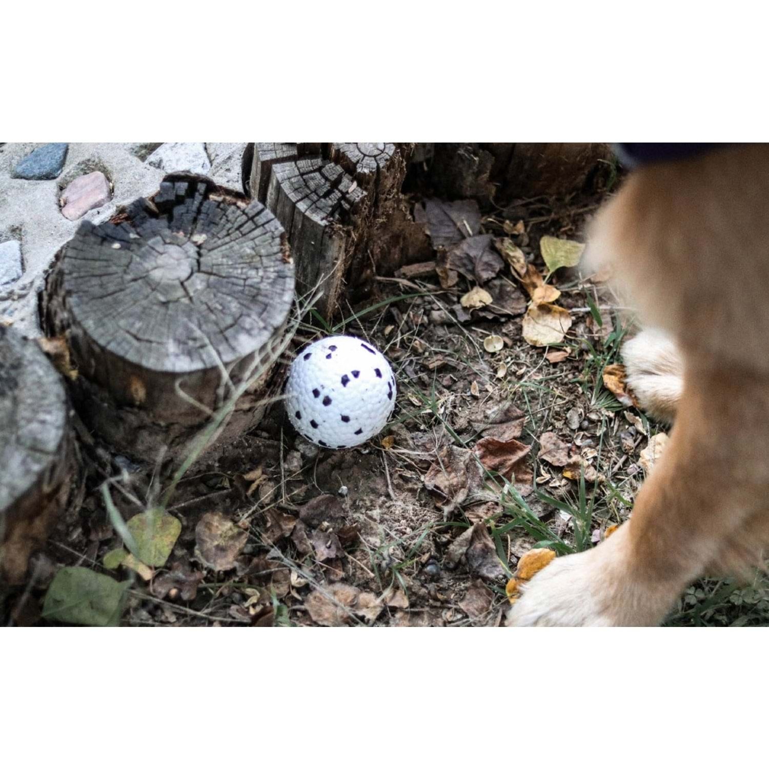M-Pets Bloom Ball Parçalanmaz Top Köpek Oyuncağı