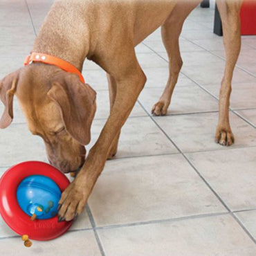 Kong Gyro Ödül Hazneli İnteraktif Köpek Oyuncağı