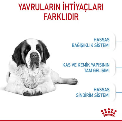 Royal Canin Giant Junior Dev Irk Yavru Köpek Maması