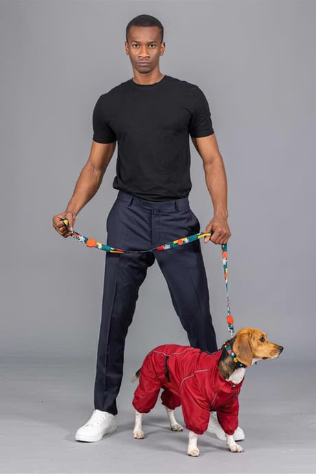 Lindo Dogs Quattro Nova Köpek Yağmurluğu