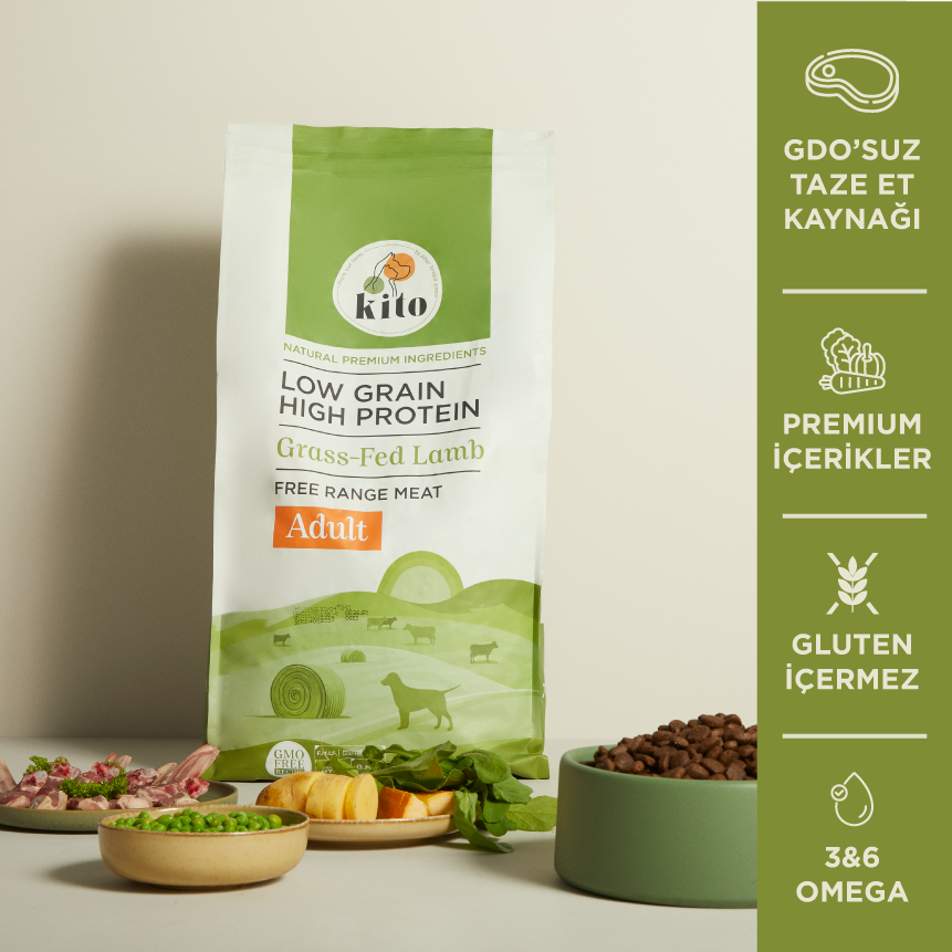 Yetişkin Köpek Maması