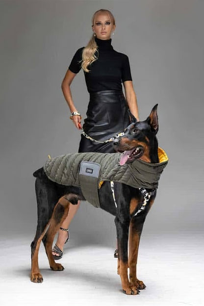 Lindo Dogs Air Puff Mango Köpek Montu