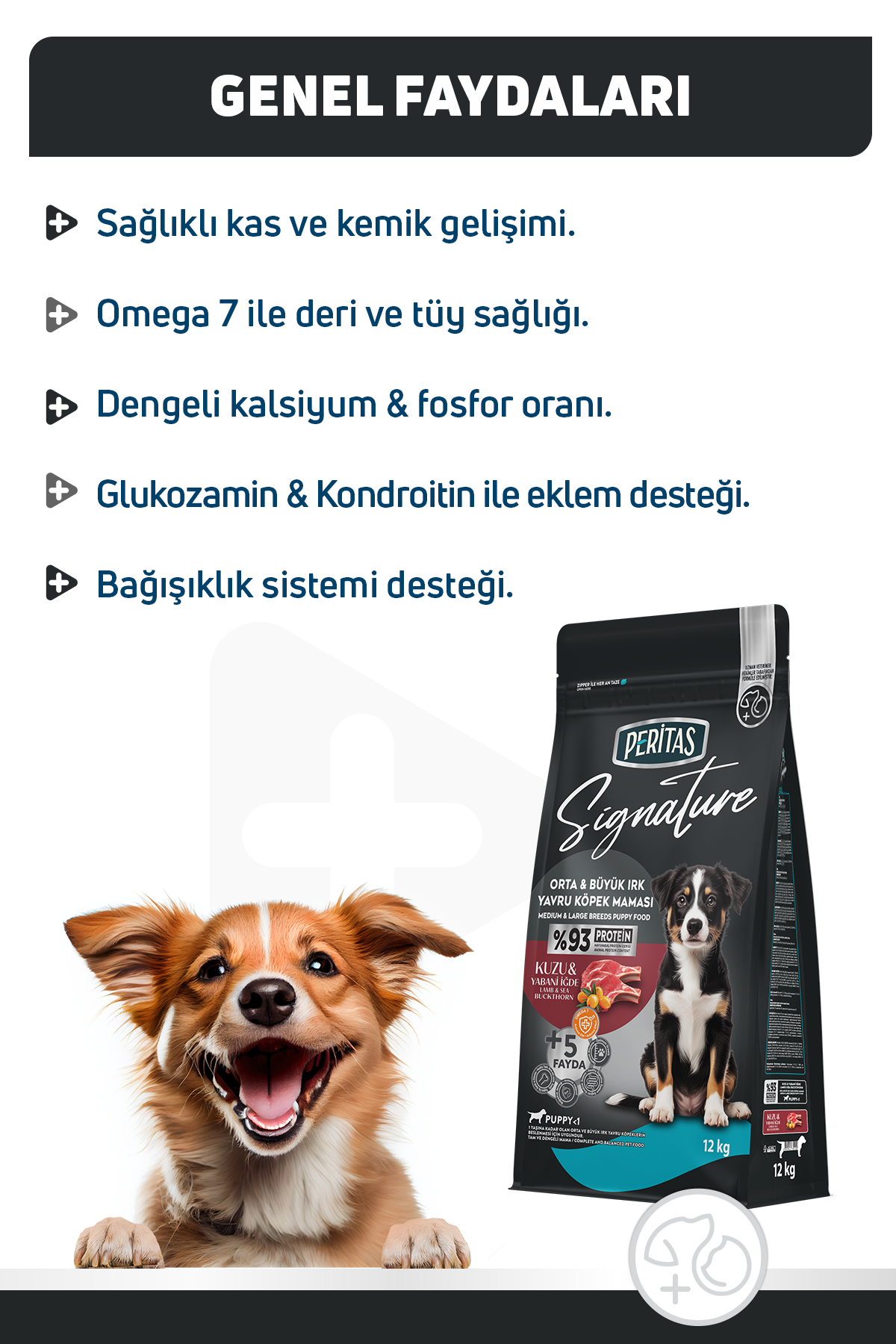Signature Kuzulu Orta ve Büyük Irk Yavru Köpek Maması
