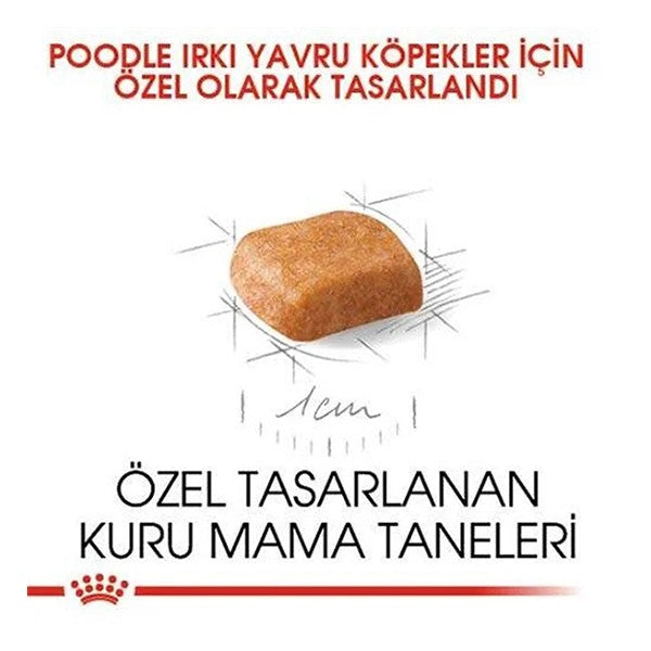 Royal Canin Poodle Junior Yavru Köpek Maması