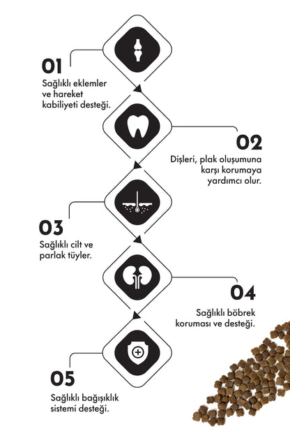 Pro Performance Mother&Baby Kuzulu ve Pirinçli Anne ve Yavru Kedi Maması