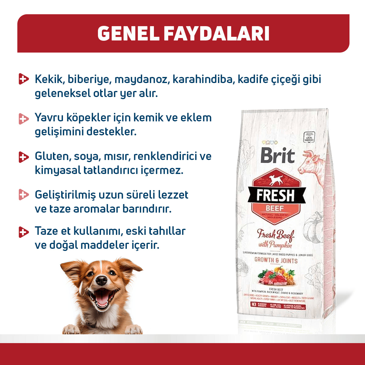 Brit Fresh Sığır Etli ve Balkabaklı Yavru Köpek Maması