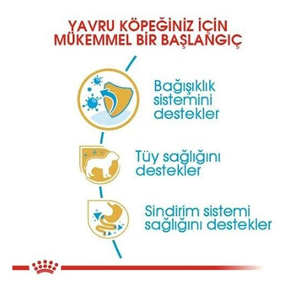 Royal Canin Poodle Junior Yavru Köpek Maması