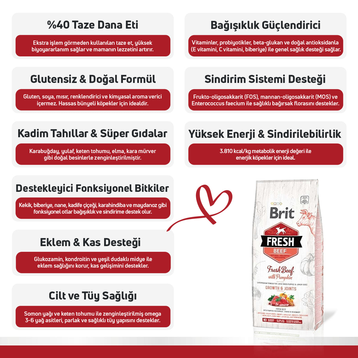 Brit Fresh Sığır Etli ve Balkabaklı Yavru Köpek Maması