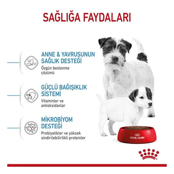 Royal Canin Mini Starter Anne ve Yavru Köpek Maması
