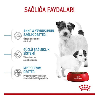 Royal Canin Mini Starter Anne ve Yavru Köpek Maması