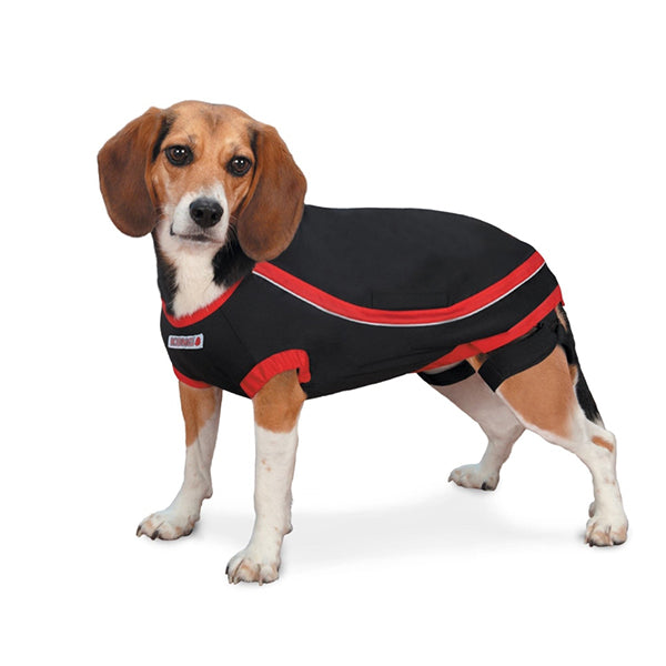 Kong Anksiyete Kaygı Giderici Köpek Elbisesi