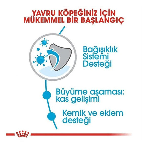 Royal Canin Giant Junior Dev Irk Yavru Köpek Maması