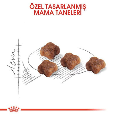 Royal Canin Mother Babycat Anne ve Yavru Kedi Maması