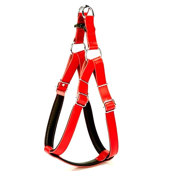 Doggie Firstclass Deri Ronin Köpek Göğüs Tasması