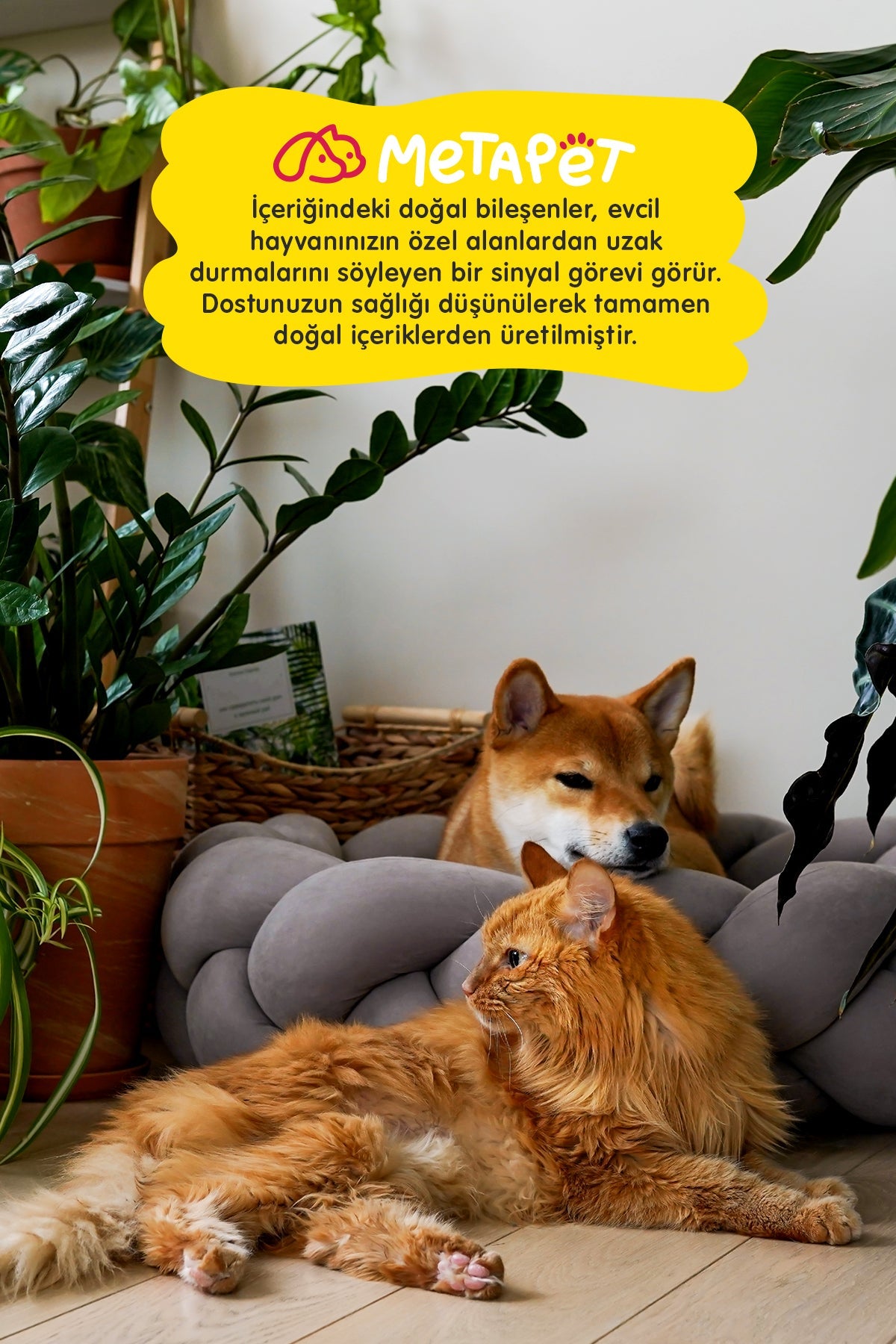 Doğal Evcil Hayvan Uzaklaştırıcı Spreyi, Kedi ve Köpek Tuvalet Alıştırma ve Eğitim Seti, Kovucu, 150 ml  | SRC: Barcode: 8683941900336