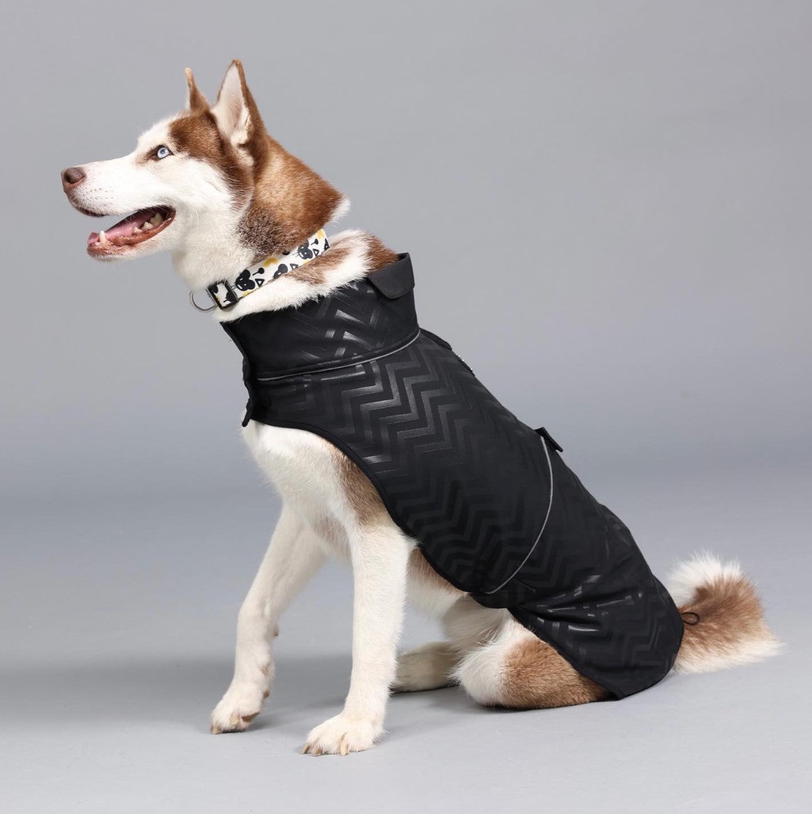 Softshell Black Stripe Küçükorta Ve Büyük Irk Köpek Yağmurluğu BEDEN 1  | SRC: Barcode: 8684438701467