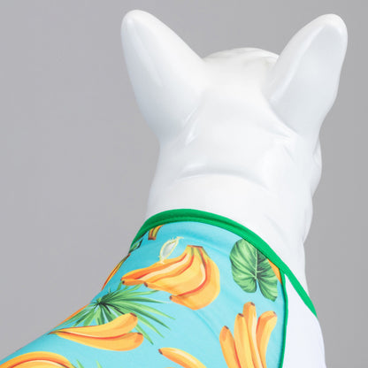 Banana Küçük Orta Ve Büyük Irk Köpek Tshirt BEDEN 0  | SRC: Barcode: 8684438703546