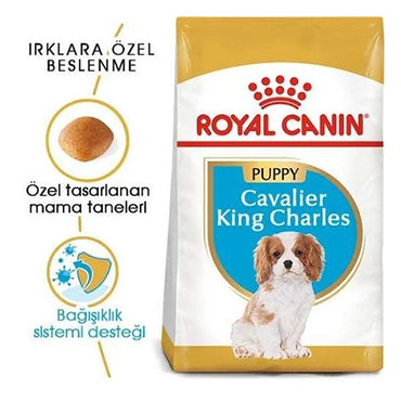 Royal Canin Cavalier King Charles Junior Yavru Köpek Maması