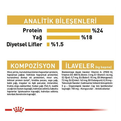 Royal Canin Maltese Terrier Adult Yetişkin Köpek Maması