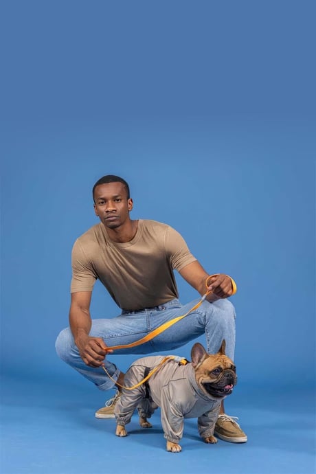 Lindo Dogs Quattro Sirius Köpek Yağmurluğu