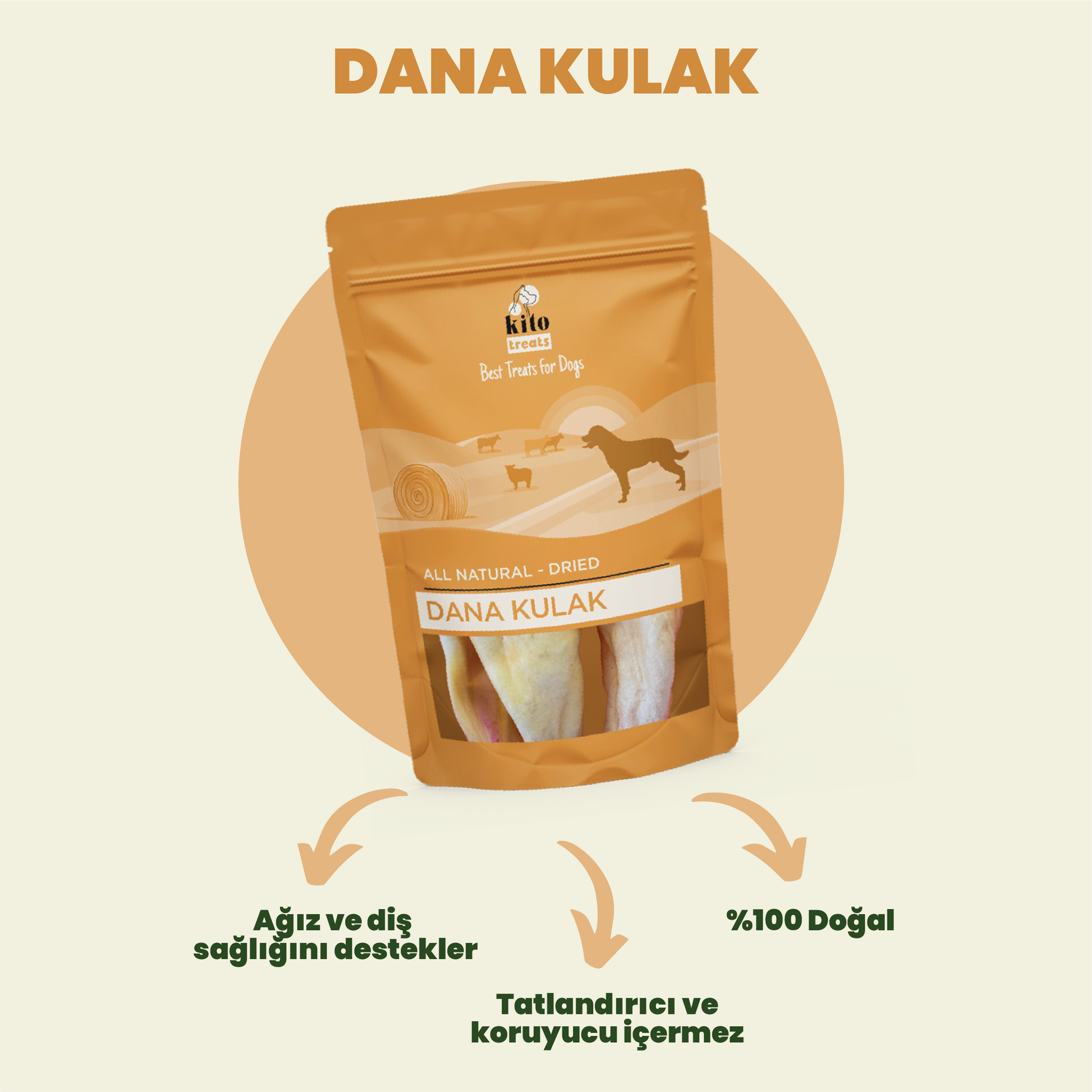 Dana Kulak Ödül Maması