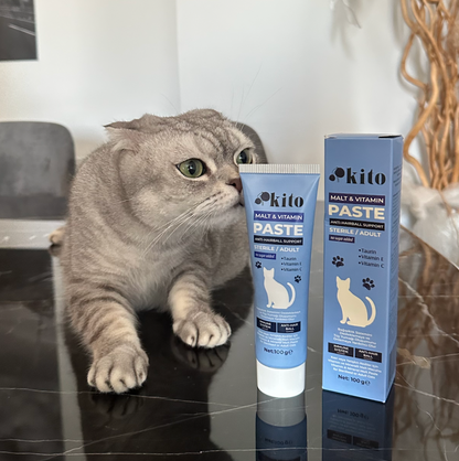 Kısır Kediler İçin Malt Macunu