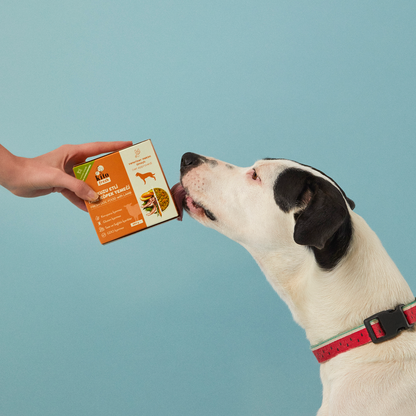 Kuzu Etli Köpek Yemeği