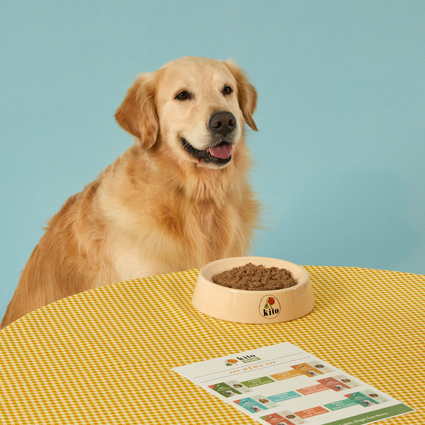 Somon Etli Köpek Yemeği