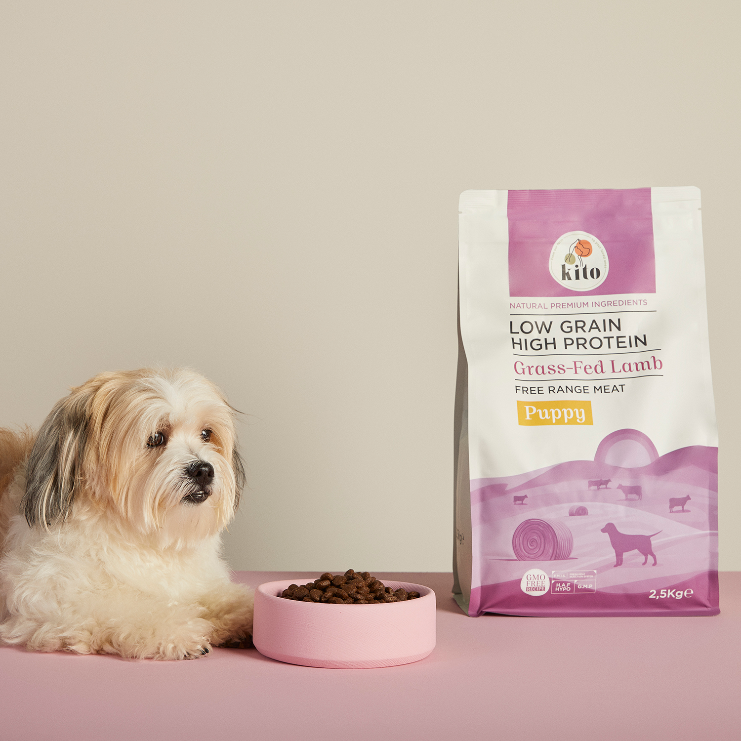 Yavru Köpek Maması