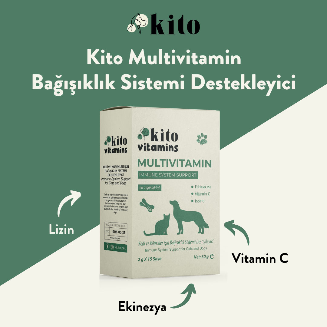 Multivitamin