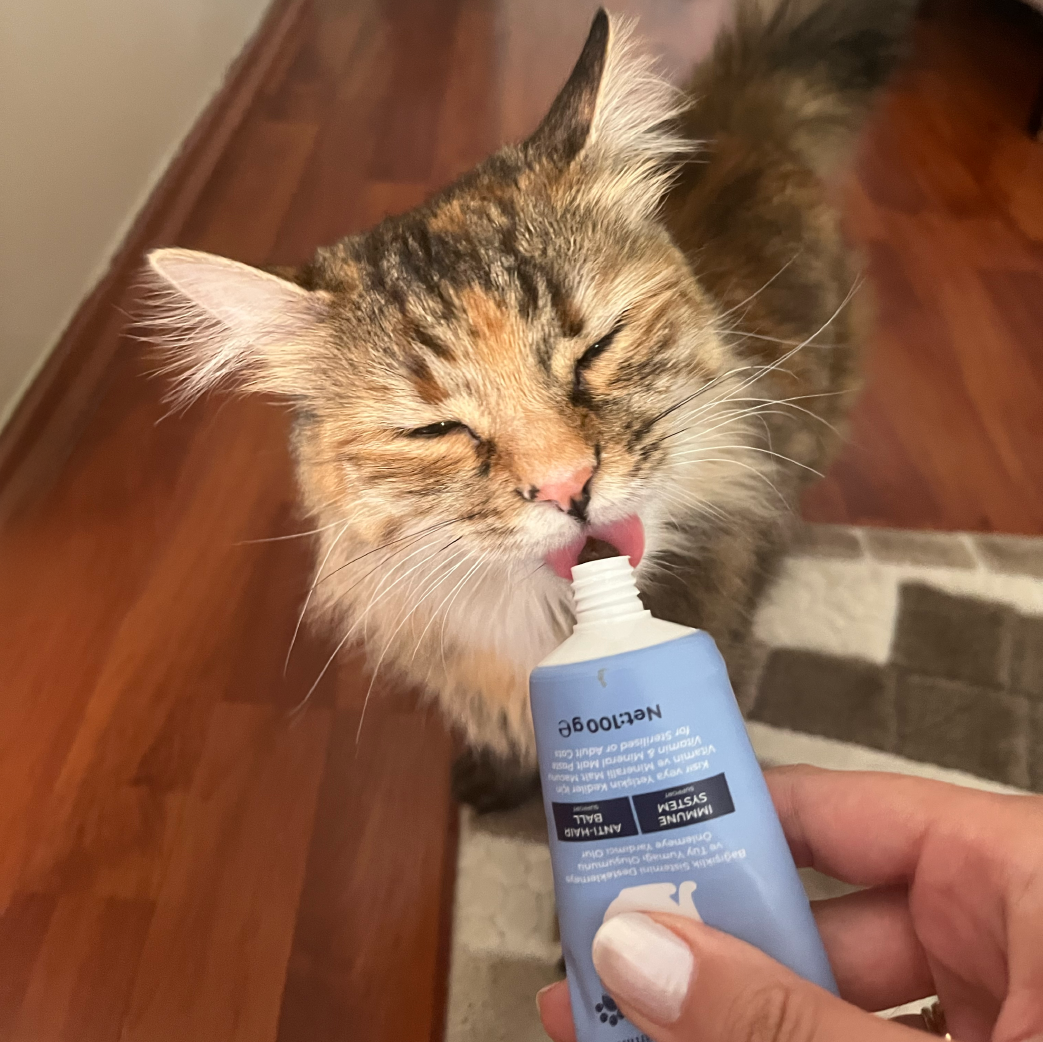 Kısır Kediler İçin Malt Macunu