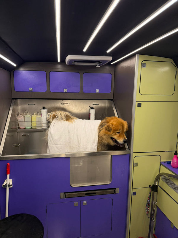 Yenimahalle Mobil Pet Kuaför Hizmeti Galerisi - DogGO
