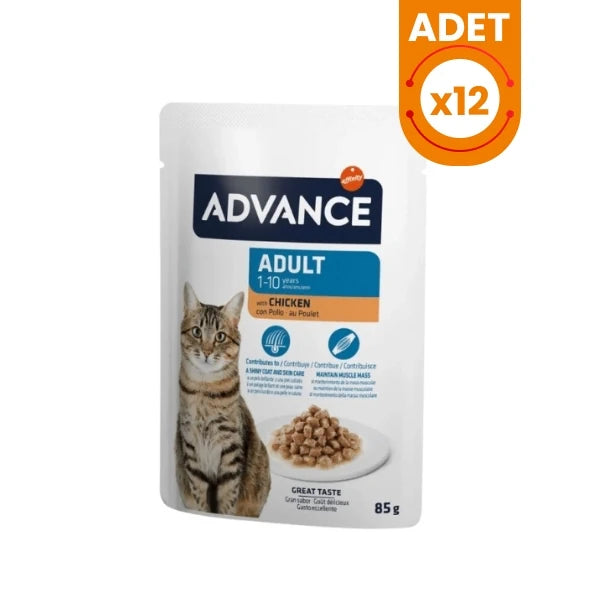 Advance Tavuklu Pouch Konserve Yetişkin Kedi Maması