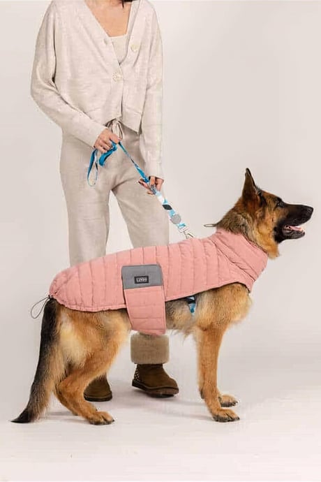 Lindo Dogs Air Puff Powder Köpek Montu