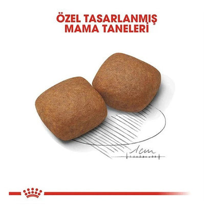 Royal Canin Giant Junior Dev Irk Yavru Köpek Maması