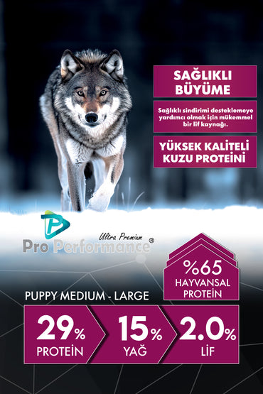 Pro Performance Kuzu Etli ve Yaban Mersinli Orta ve Büyük Irk Yavru Köpek Maması