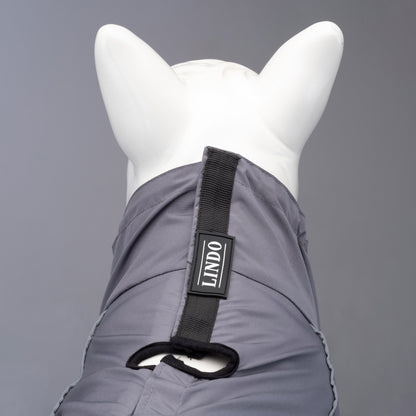 Lindo Dogs Quattro Void Köpek Yağmurluğu